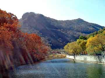 日韩yy在线ox，布鸟里 杜甫